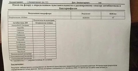 Сколько дней делается моча на антибиотики