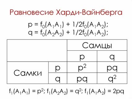 Равновесие популяции харди вайнберга