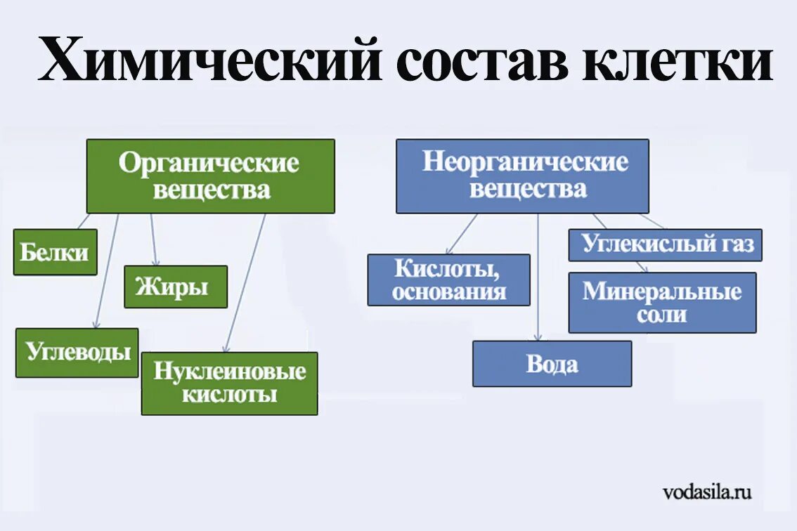 Неорганические соединения состоят из. Химический состав клетки. Химический состав клетки органические и неорганические вещества. Состав клетки органические и неорганические вещества. Химический состав клетки органические вещества.