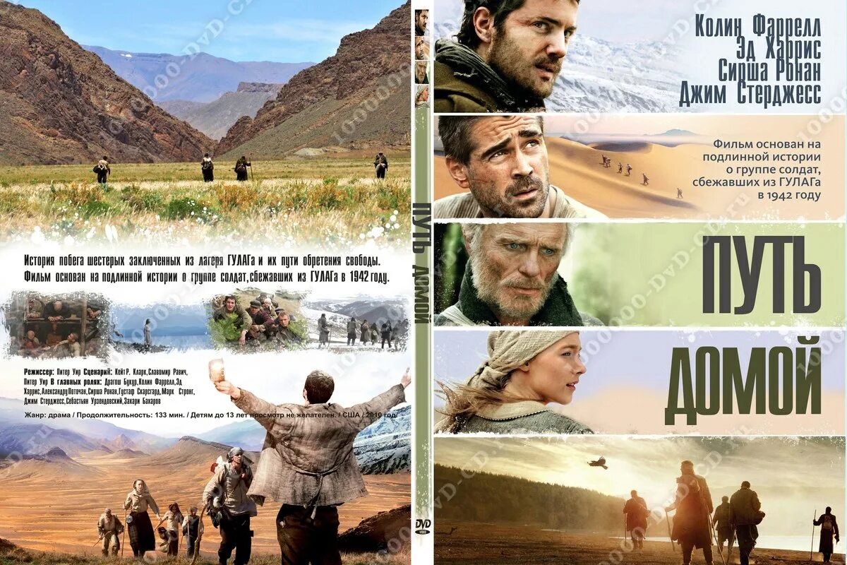 Владимир поселягин четвёртое измерение книга 3. Дорога домой рассказ про собаку. Долгая дорога домой книга. Обложка книги долгая дорога домой. Комикс про путь домой.