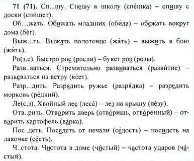 Русский язык 5 класс заданий решения