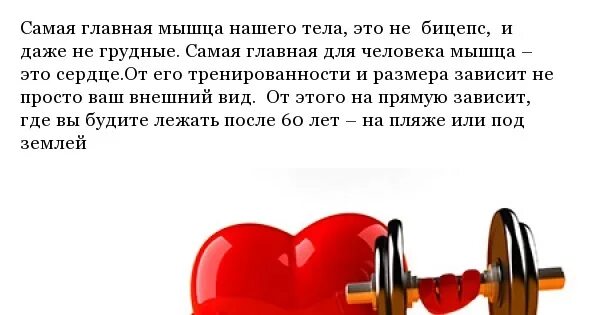 Какое значение имеет тренировка сердца кратко. Как тренировать свое сердце. как натренировать сердце. тренировка сердечной мышцы. как можно тренировать сердце.