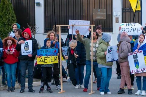 Нести участники