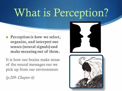 Perception