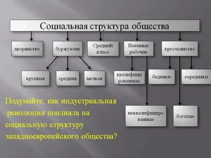 Дать характеристику социальной структуре общества