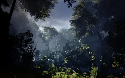 Realistic environment