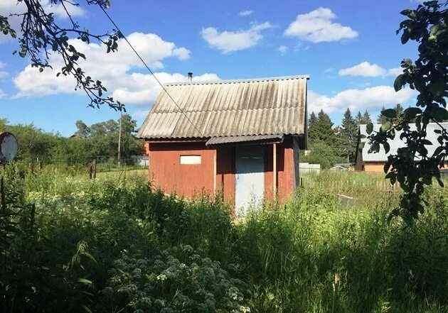Деревня пчелка московская область. Поселок пчелка караулка. Погода в д пчелка мытищинского р на. Погода в д пчелка мытищинского р на. Деревня пчелка московская область.