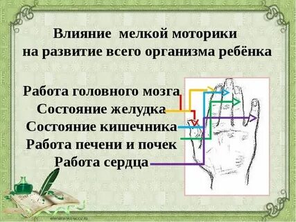 Моторика влияет на речь