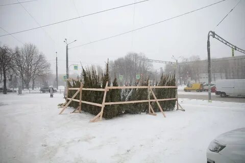 Адреса елочных базаров в спб