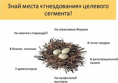 Период гнездования у беременных