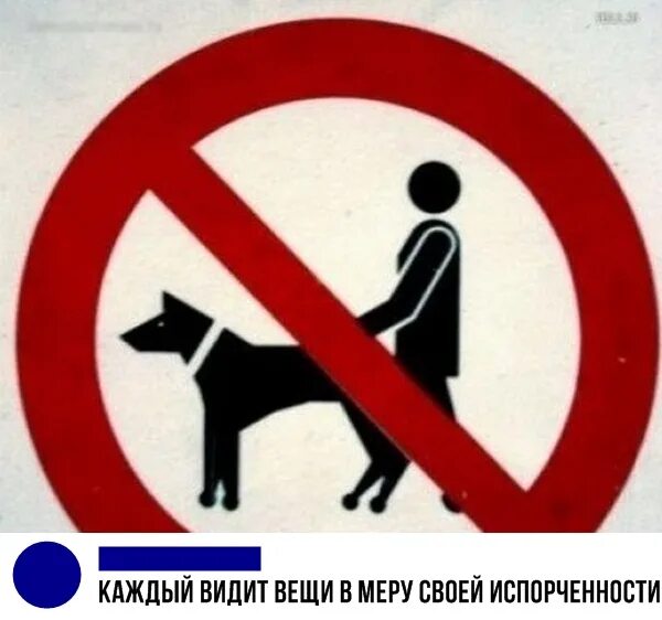 В каждой вижу ее