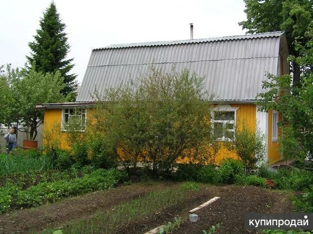 Дачи садоводство дружба. Дача снт дружба большие дворы в павловском посаде. Дачи садоводство дружба. Кукуштан снт дачный. Снт дружба загорново.
