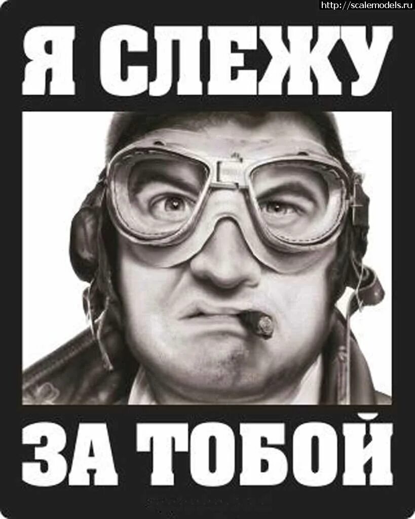 Слежу за тобой. Я слежу за тобой смешное. я слежу за тобой картинки прикольные. слежка картинки смешные. следить смешные картинки.