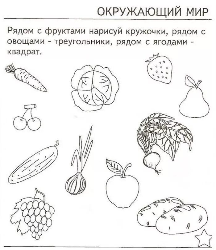 Покажи русские задания. Задания по ознакомлению с окружающим для детей 5 6 лет. Задания по окруж миру для дошкольников. Окружающий мир для дошкольников. Задания по окружающему миру для дошкольников.