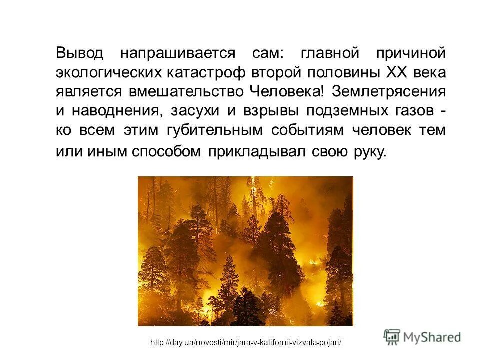 Расскажите об экологических катастрофах последних лет