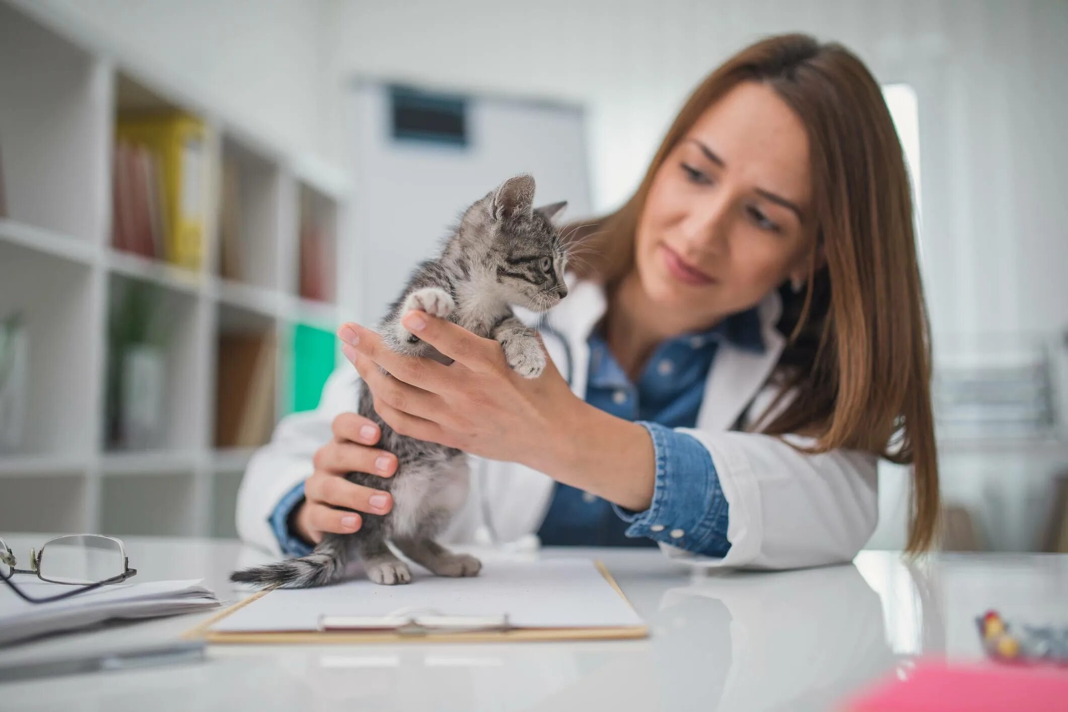 Ветеринар котят. Ветеринар с кошкой. ветеринарный врач с котенком. девушка ветеринар. котенок у ветеринара.