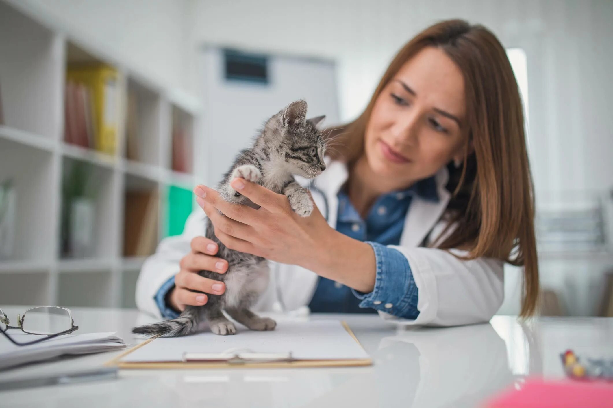 Ветеринар для кошки отзывы. Ветеринарный врач с котенком. Ветеринар с кошкой. Ветеринар для кошечки. Здоровье кошек.