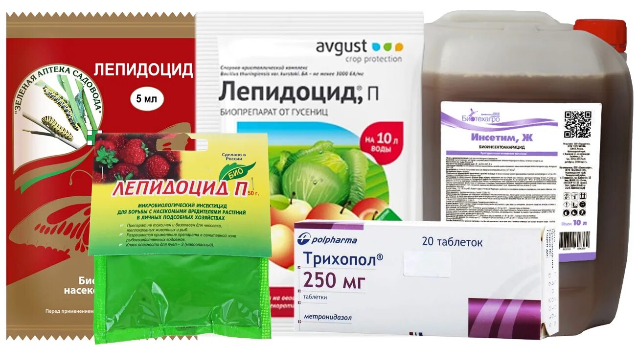 Препараты от тли на деревьях и кустарниках. Препараты от тли. от тли средство химическое. средства от тли на растениях. лучшие препараты от тли.