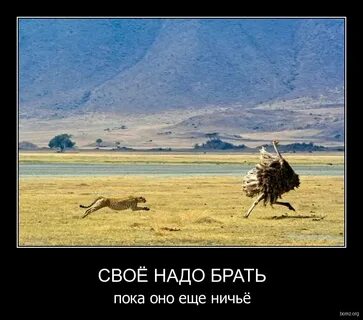 Надо брать в свои руки