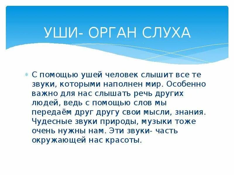 Рассказ про слух. Доклад на тему слух. Рассказы про уши