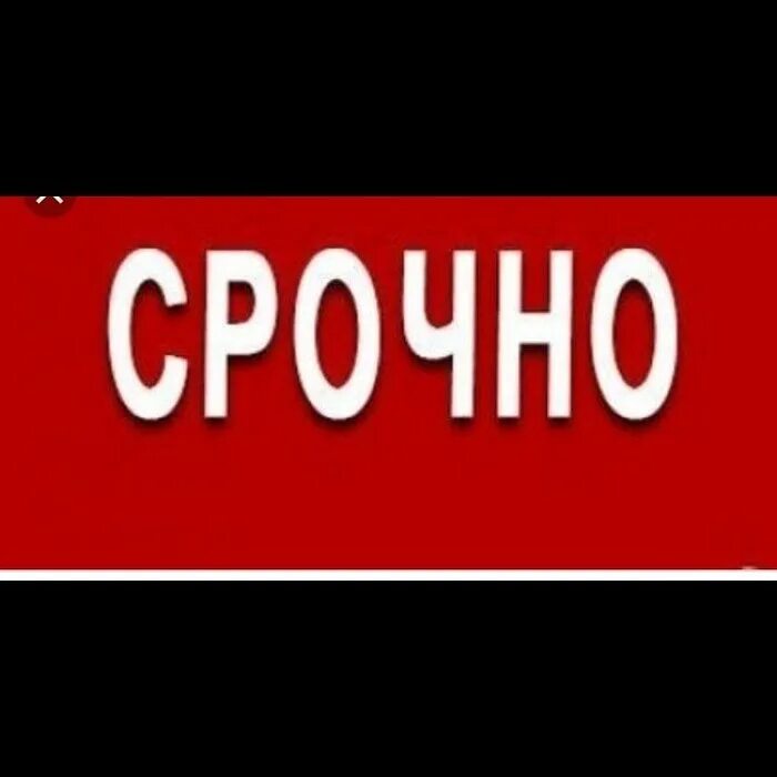 Срочно тип. Срочно. срочно картинка. надпись срочно. очень срочно.