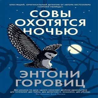Совы охотятся ночью 2024