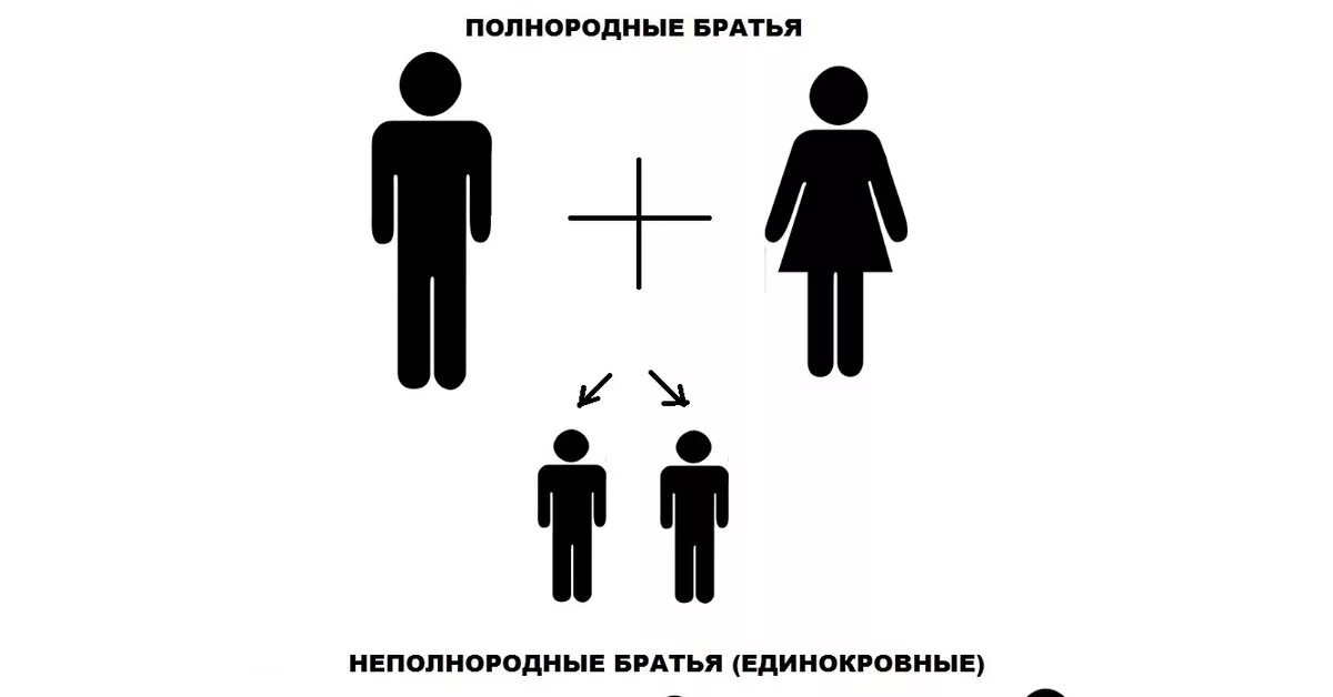 Сводные братья и сестры это. Сводный брат это. Сводные и единокровные. Родные, единокровные. Как называется сводная сестра сводного брата