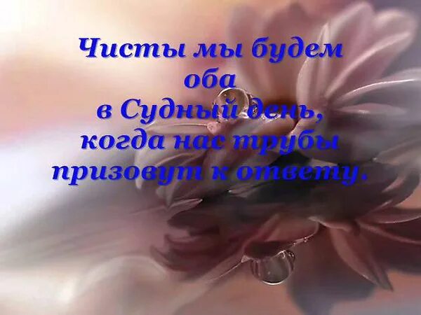 Не исчезай из жизни моей картинки. Не исчезай вознесенский стихи. Не исчезай таривердиев текст. Стихи дождик осенний поплачь обо мне. Не исчезай из жизни моей слушать.