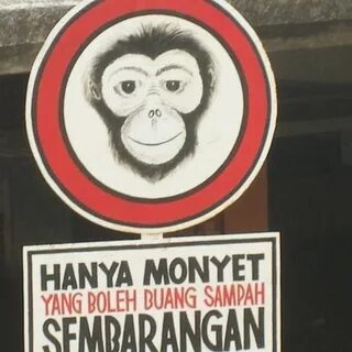 Only monkeys