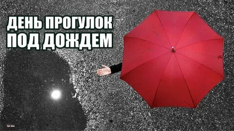 День прогулок под