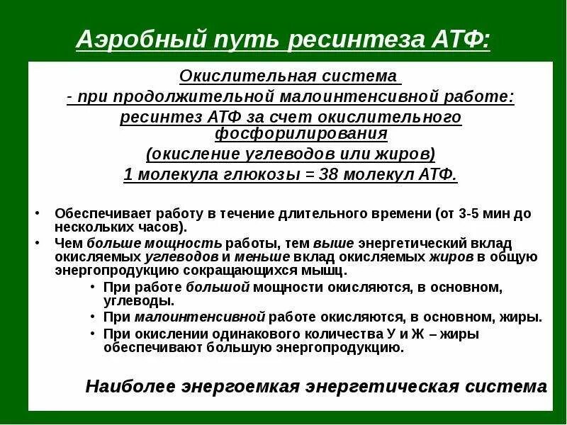 Анаэробный ресинтез атф. Аэробный и анаэробный путь ресинтеза АТФ. 14. Критерии оценки путей ресинтеза АТФ.. Анаэробные пути ресинтеза АТФ кратко. Аэробный ресинтез АТФ.