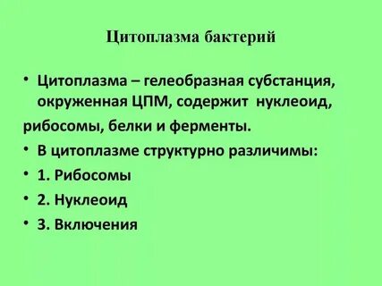 Основные функции цитоплазмы бактериальной клетки