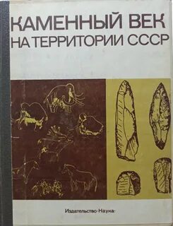 Каменный век книга