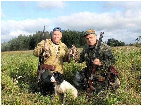 Чучела гусей на воде. Альбом для фотографий охота. Альбом для фотографий охота. Моя охота. Осенняя охота на утку с чучелами и махокрылом.