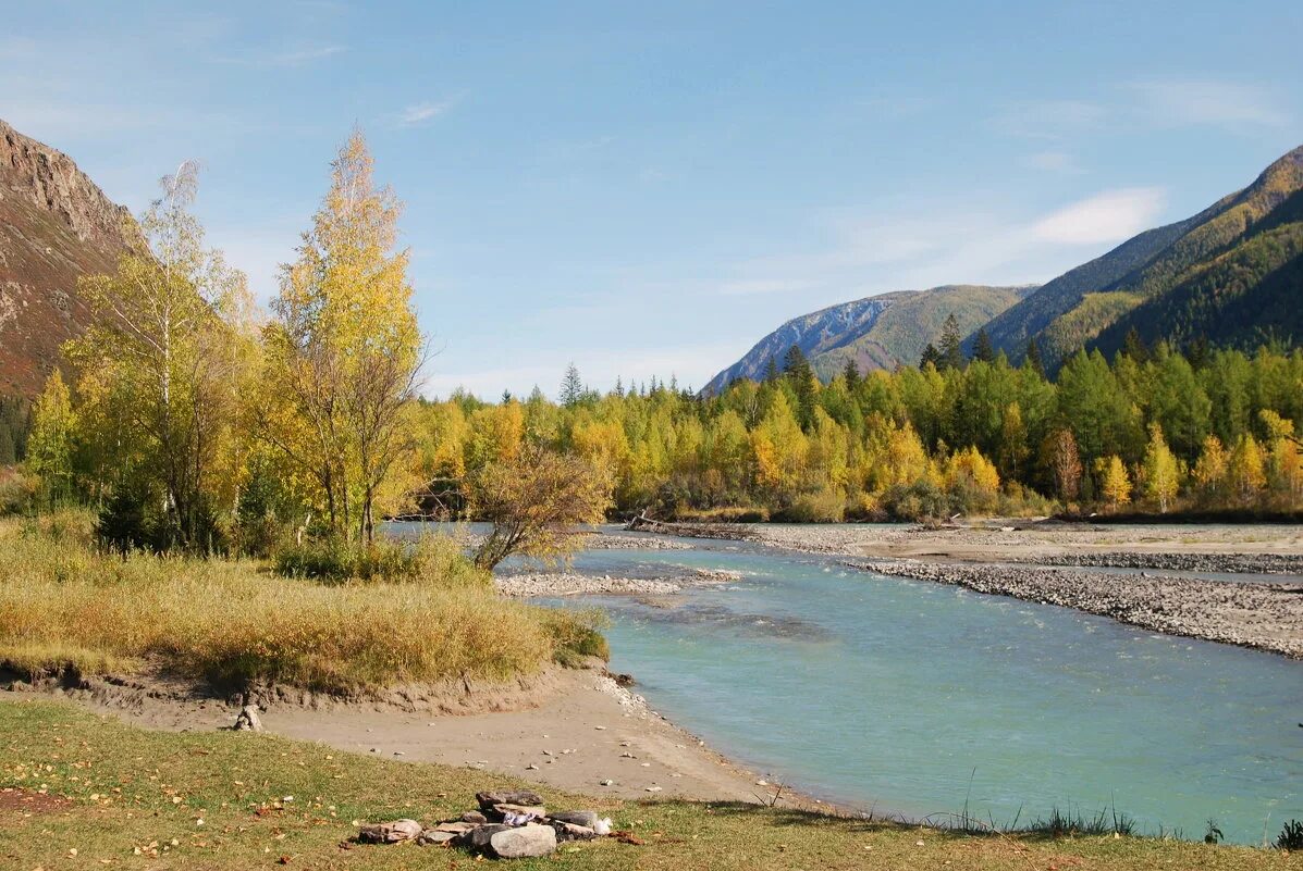 на берегу чуй. природа алтая. дикая природа алтая. золотые горы. река чуя фото.