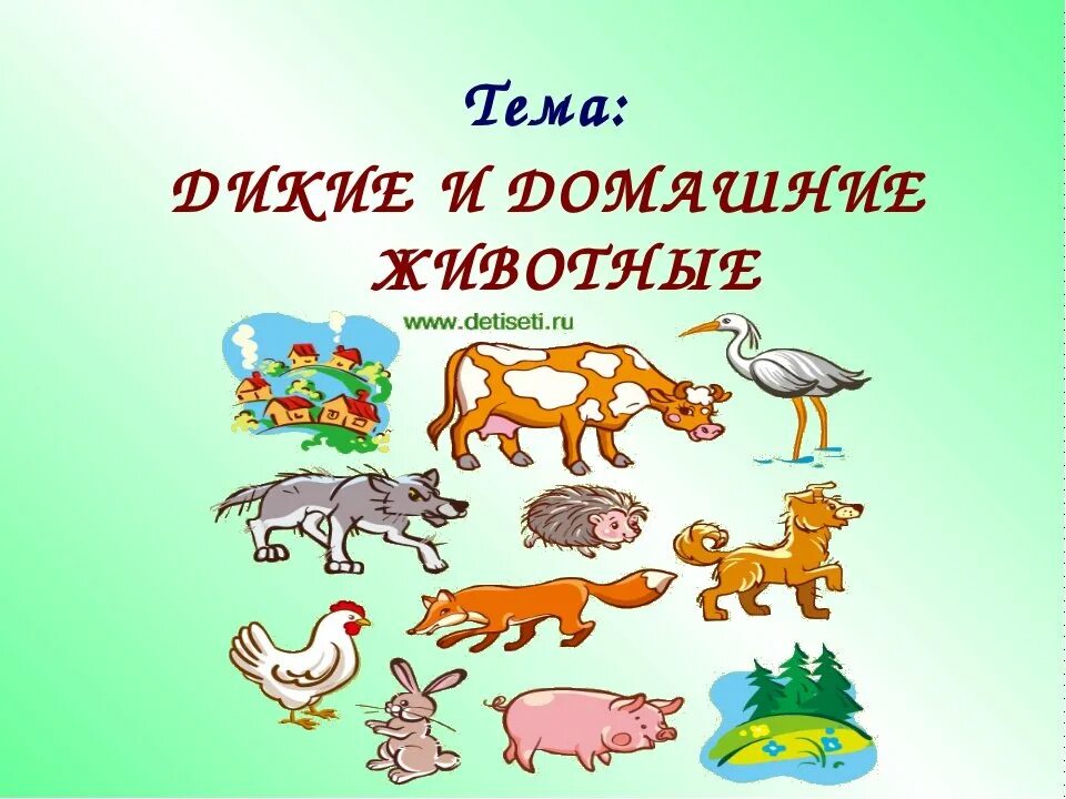 Животные для первого класса. Дикие и домашние животные. Группы животных домашние и Дикие. Тема недели животный мир. Тема недели Дикие и домашние животные.