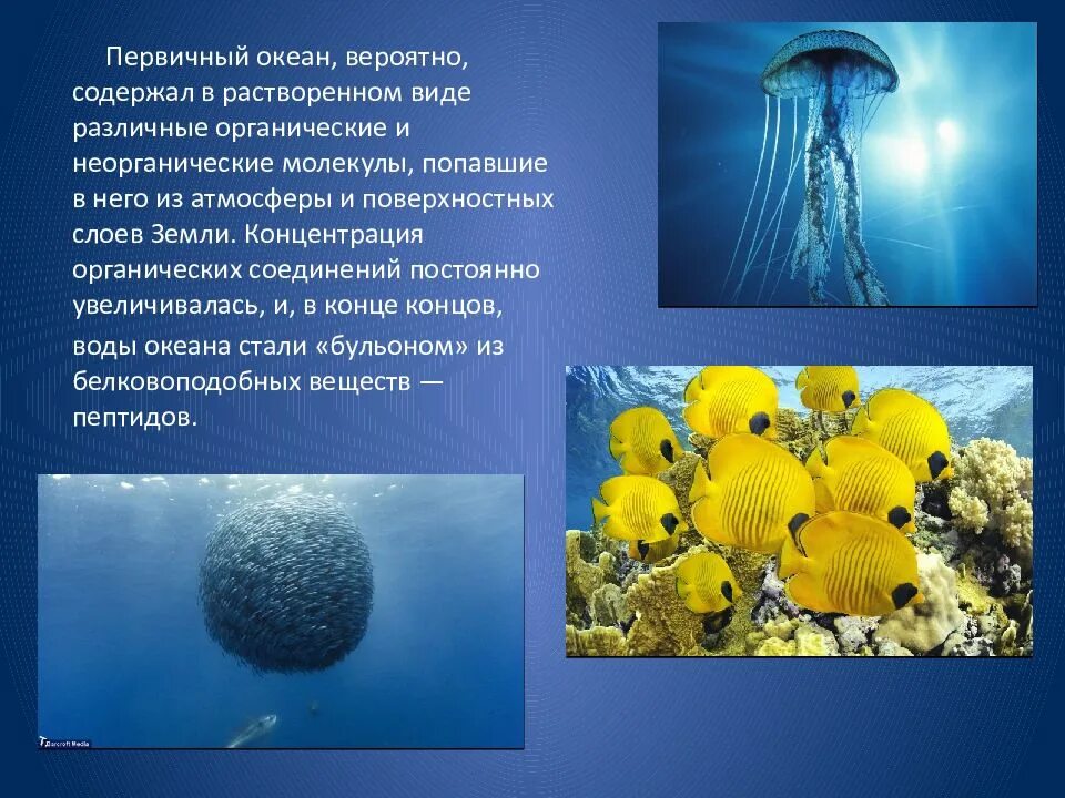 Органические вещества содержащиеся в воде. Органические вещества в океане. образование первичного океана. образование мирового океана. воды первичного океана.