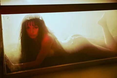 Poppy Inside A Glass Box.