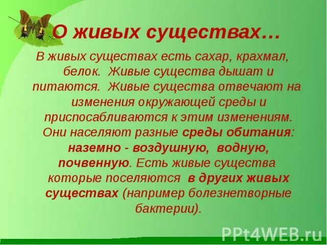 Живое существо синоним. Живое существо синоним. Животные живые существа. Воинственный воинствующий паронимы. Тело синоним литературный.