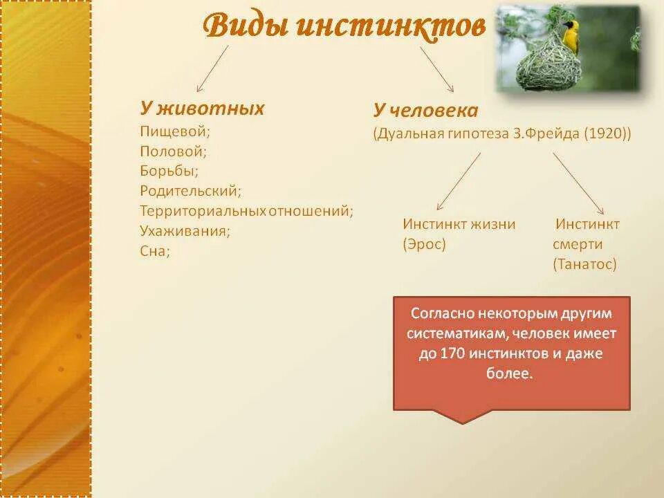 Характеристику инстинкта. Примеры инстинктов. Примеры инстинктов у человека. Инстинкт примеры у человека и животных. Виды инстинктов у животных.