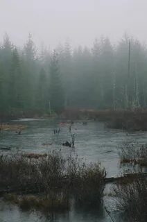 Зловещие болота