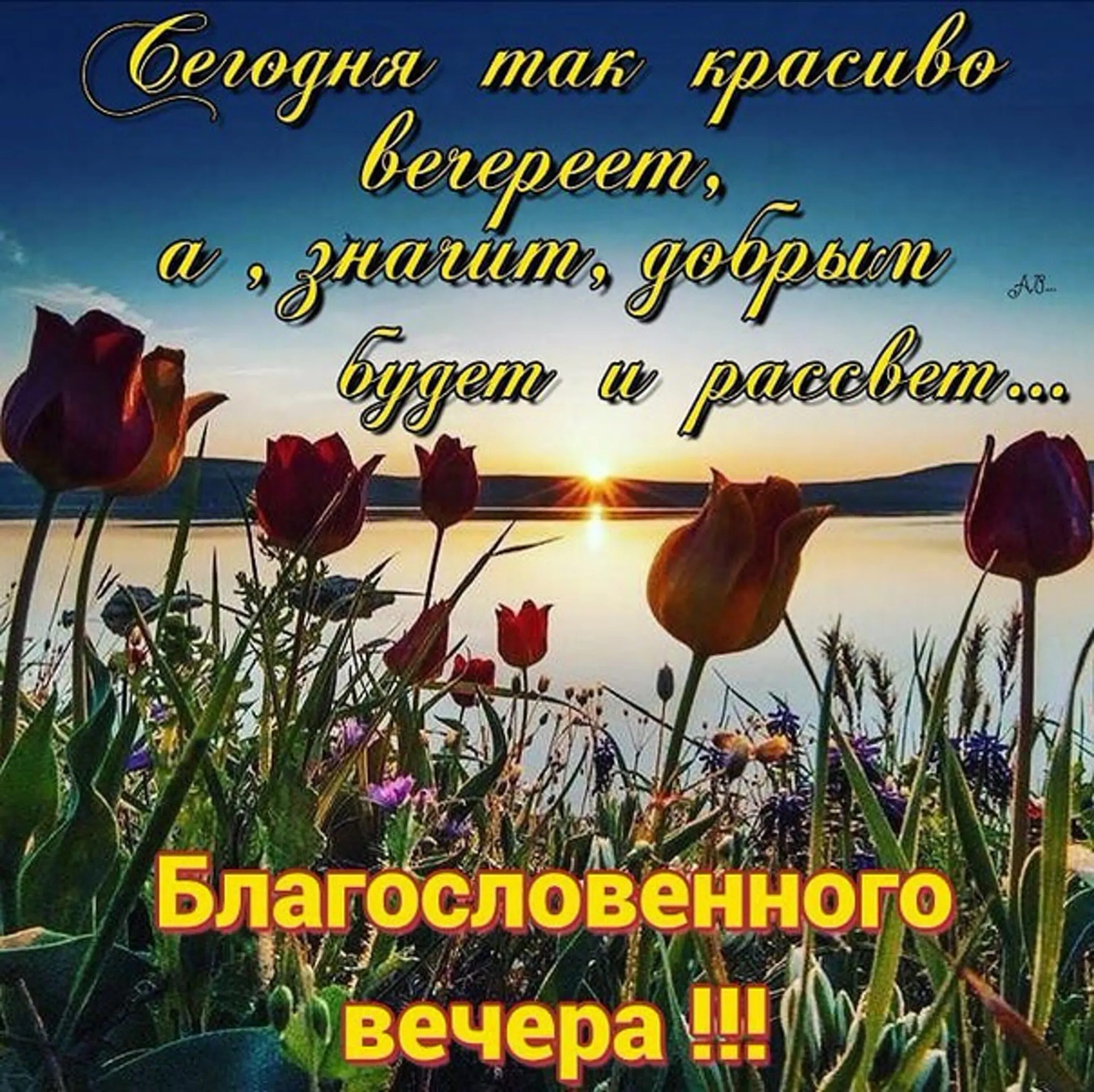 С добрым утром господа