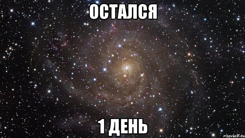 1 сутки