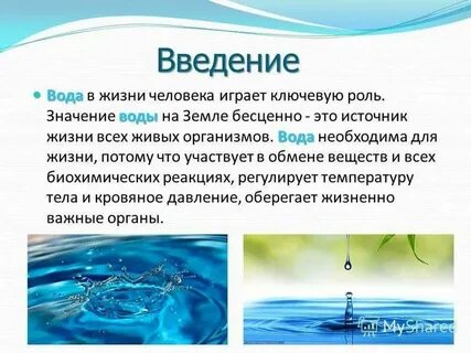Вода играет важную роль в жизни человека