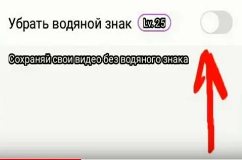Загрузчик видео из лайка