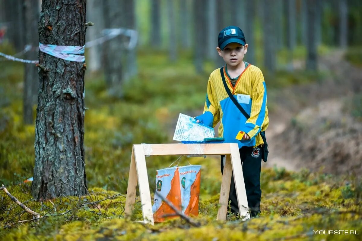 Боевая подготовка учения. Спортивный туризм и ориентирование. Осмотр места происшествия следователем. Обыск на открытой местности. Обыск местности и помещений служебных собак.