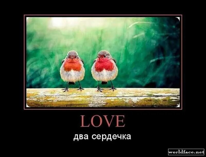 Лов несколько