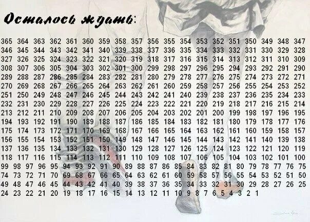 Сколько дней осталось до 9999. Календарь армия. Дембельский календарь. Дембелевский календарь. Осталось ждать календарь армия.