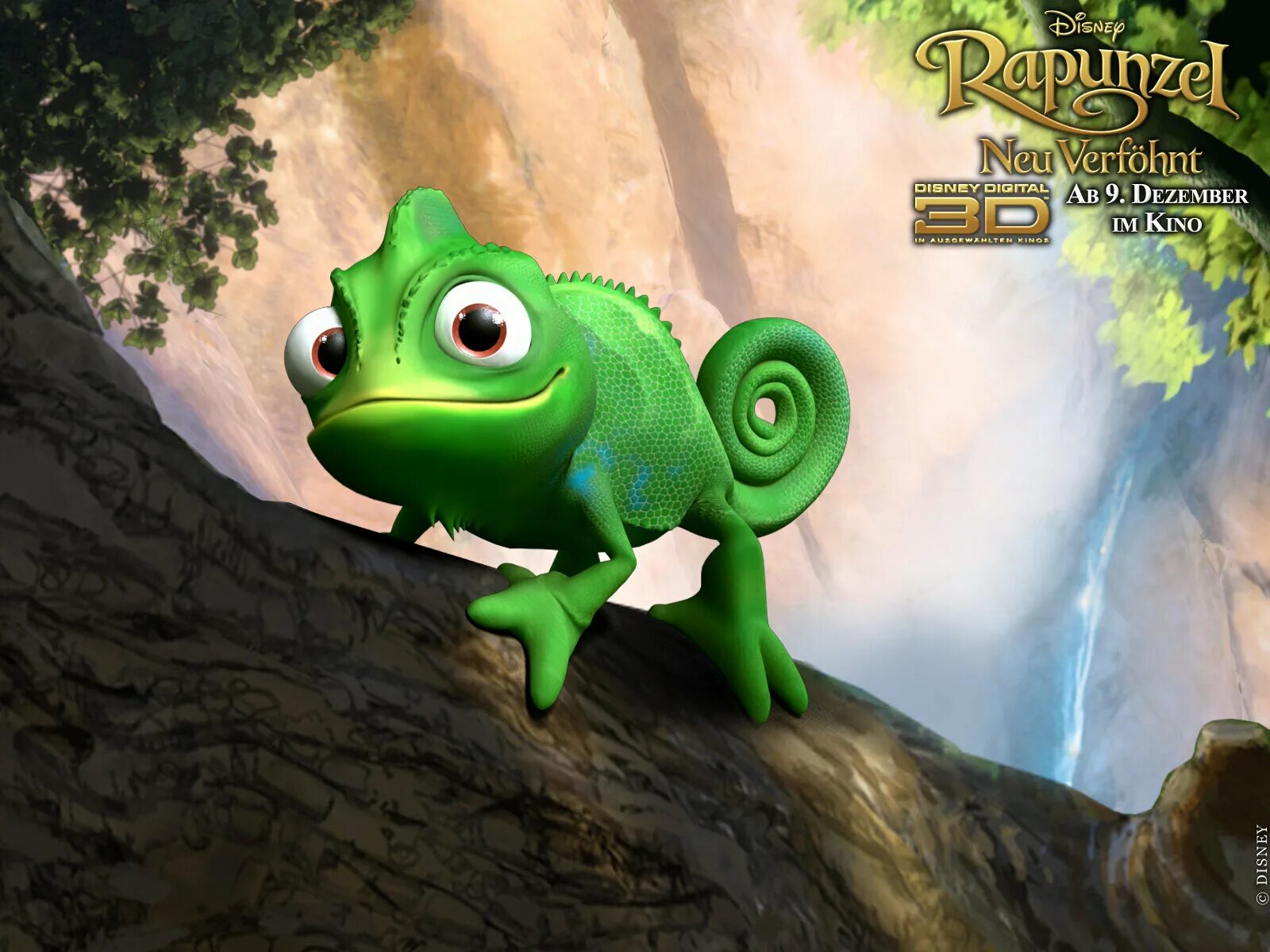 Как зовут хамелеона. Паскаль рапунцель. Друг рапунцель хамелеон. Хамелеон рапунцель. Йеменский хамелеон.