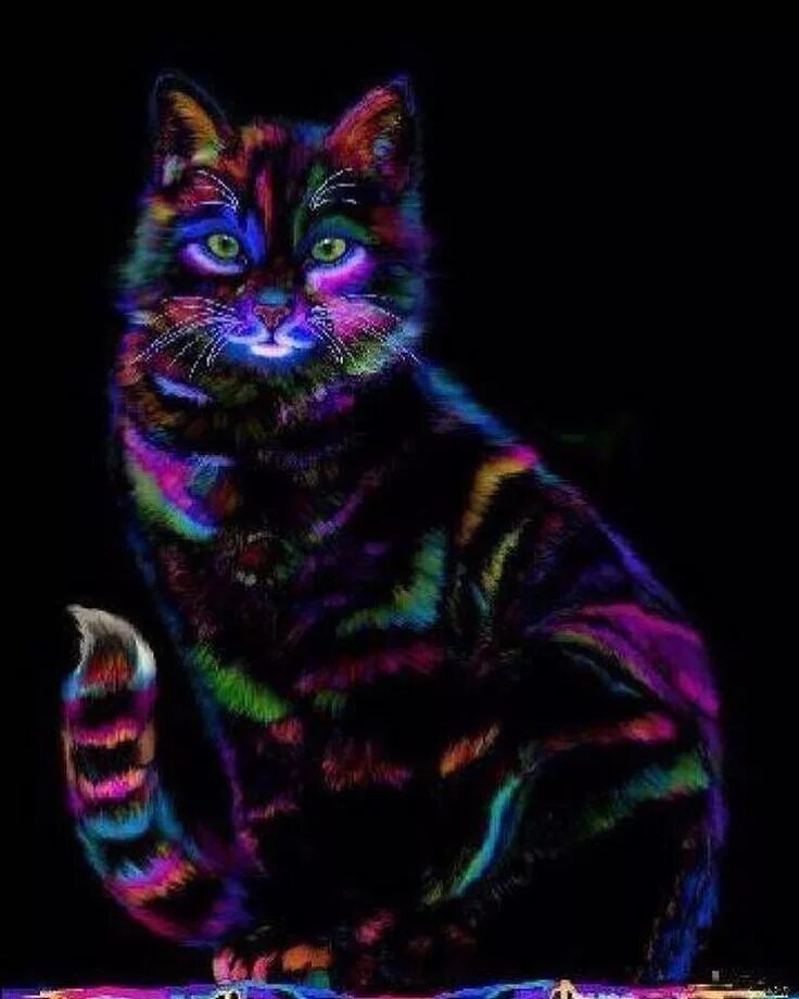 Neon cat. Разноцветный кот. Неоновый кот. Разноцветный неоновый кот. Неоновая черная кошка.